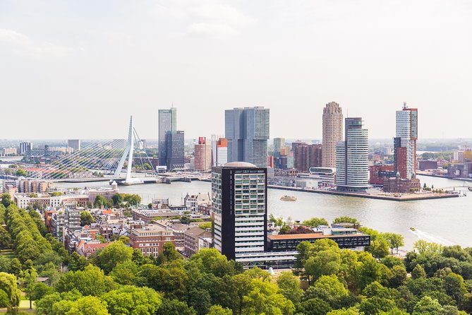 Rotterdam, Delft and The Hague Day Trip from Amsterdam - Should you book Rotterdam, Delft and The Hague from Amsterdam?