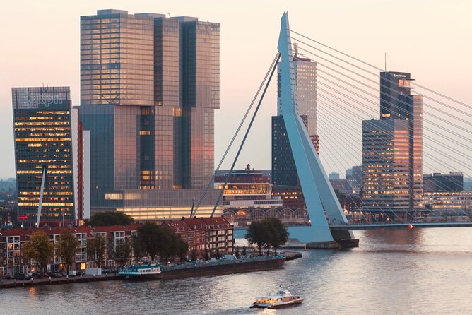 Rotterdam, Delft and The Hague Small Group Tour from Amsterdam - Pacing that actually works: walking, coffee stops, and when to wander
