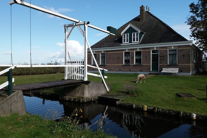 Small-Group Guided Sunset Canoe Tour in Waterland with Dinner - Reed beds, meadows, and wooden houses at golden hour