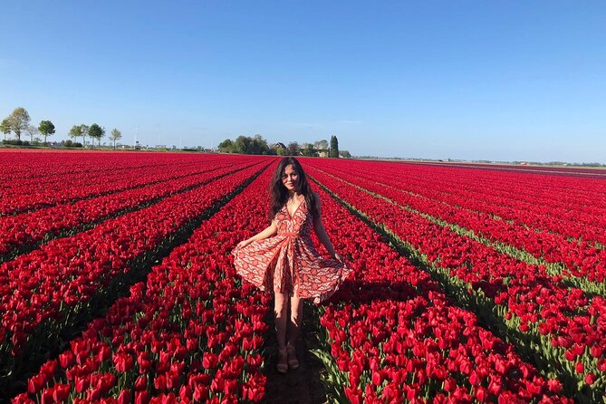 Small Group Keukenhof and Delft Guided Tour from Amsterdam - Quick take: Keukenhof + Delft in one efficient spring day