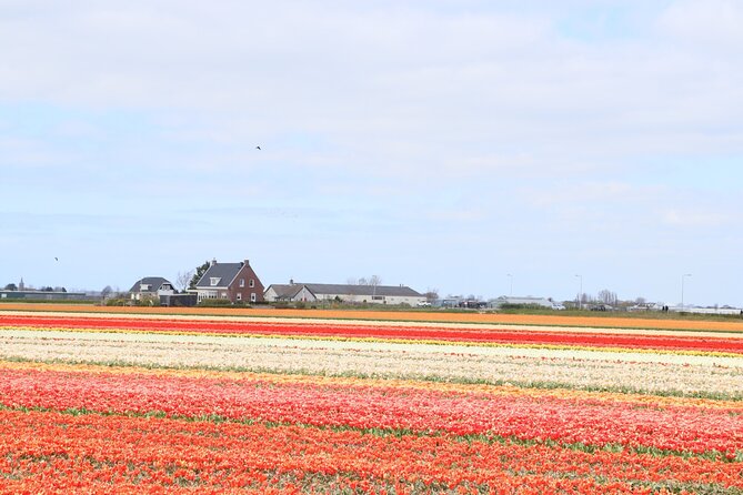 Small Group Keukenhof and Delft Guided Tour from Amsterdam - Delft in two parts: canals on foot plus a hands-on pottery lesson