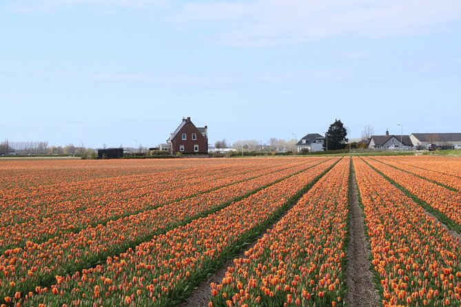 Small Group Keukenhof and Delft Guided Tour from Amsterdam - Small group size: why max 16 is more than a marketing number