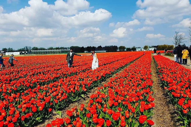 Small Group Keukenhof and Delft Guided Tour from Amsterdam - Transportation and pacing: a long day that still works if you plan your energy