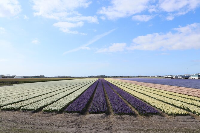 Small Group Keukenhof and Delft Guided Tour from Amsterdam - Price and value: is $191.88 worth it?