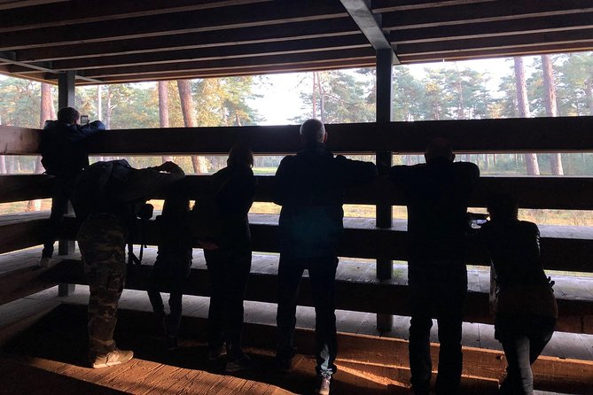 Small Group Tour to NP Hoge Veluwe (van Gogh) from Amsterdam - Wildlife sightings: how to set expectations (and increase your chances)