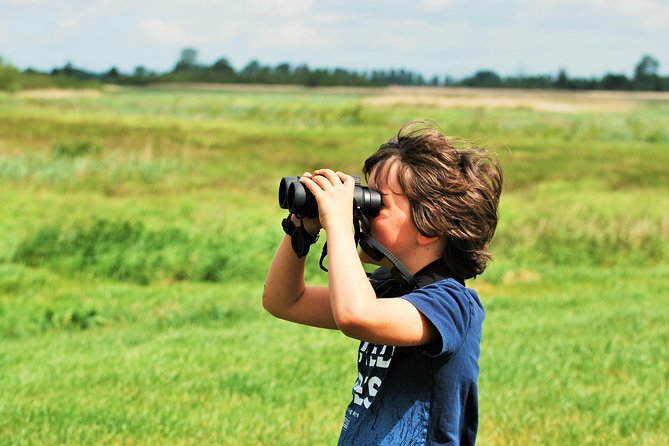 Small Group Tour to NP Hoge Veluwe (van Gogh) from Amsterdam - Final thoughts: should you book this Hoge Veluwe and Van Gogh day trip?