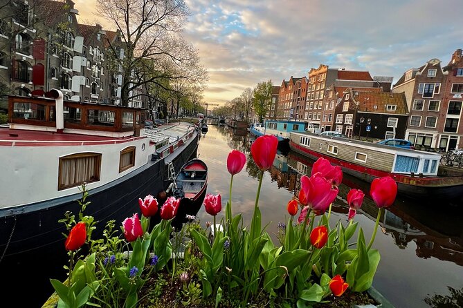 Small Group Walking Tour in Amsterdam with Friendly and Fun Guide - Price and value: what $41.13 buys you in 3 hours