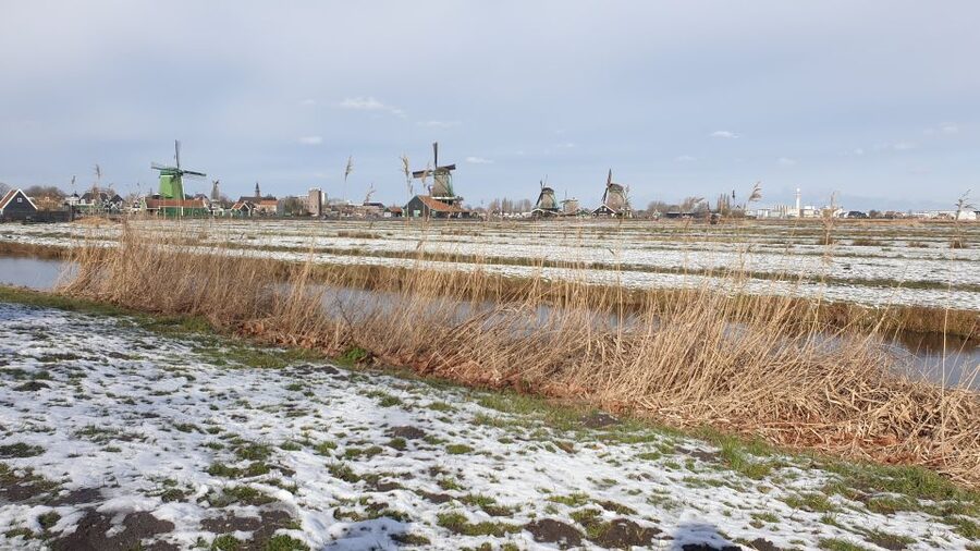 Small Group Zaanse Schans & Volendam Tour w/ Hotel Pick up - Zaanse Schans Windmills, Clogs, Cheese, and Diamonds