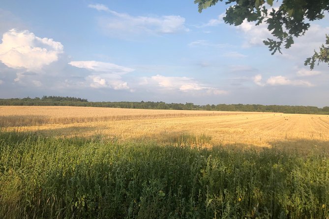 The Battle of Arnhem (from Amsterdam) - Wolfhezerheide drop zones: seeing the terrain tied to the landings