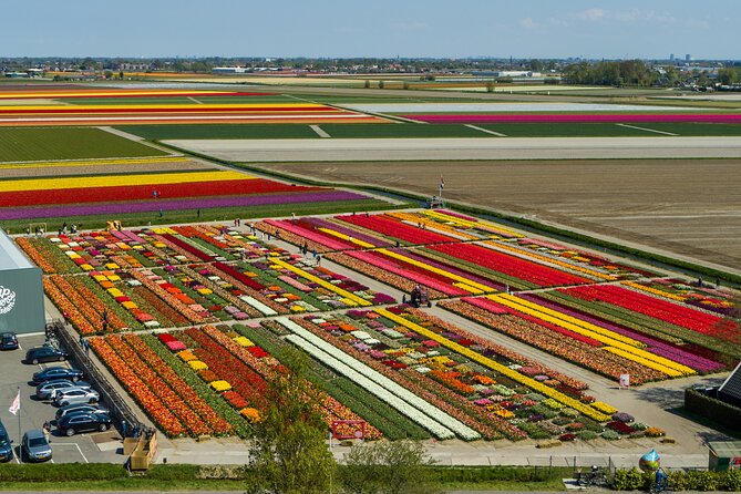 Tour to Giethoorn and Keukenhof Tulip Fields from Amsterdam - Practical Tips for Tulips, Crowds, and Canal Photos