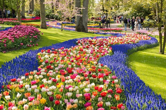 Tulip Experience and Keukenhof Flower Gardens Tour from Amsterdam - Tulip Experience Amsterdam: the story behind the color