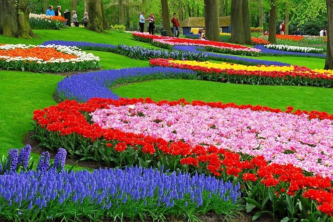 Tulip Experience and Keukenhof Flower Gardens Tour from Amsterdam - Who this tour suits best (and who should pass)