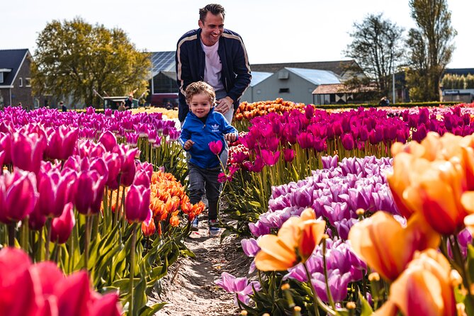 Tulip Experience and Keukenhof Flower Gardens Tour from Amsterdam - The free tulip-picking moment (and how to make it worth it)