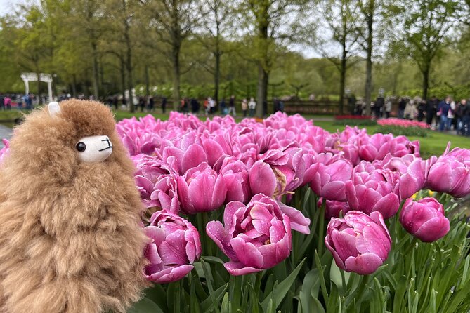 Tulip Paradise: Keukenhof Half-Day Private Tour - What’s Included vs Not Included: Avoiding Lunch-Day Surprise