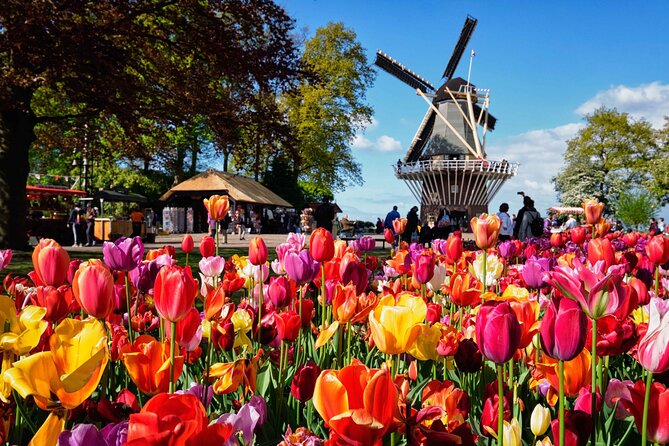 Tulip Paradise: Keukenhof Half-Day Private Tour - Two Hours of Blooming Fields and Windmills: Photo Stops That Matter