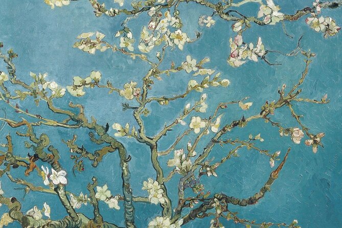 Van Gogh Museum Amsterdam Private Guided Tour With Admission - Inside the museum: what a private guide changes