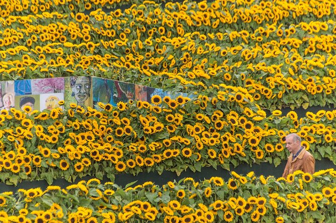 Van Gogh Museum Skip the Queue with Audio Guide - Price and value: is $111.74 worth it?