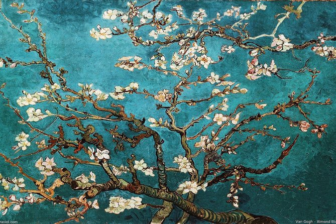 Van Gogh Museum Tour Reserved Entry Semi Private - Who This Tour Suits Best (and Who Might Prefer Going Solo)