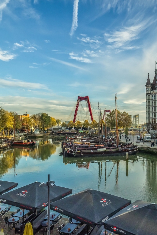 VIP Private Full Day Tour of the Netherlands - The Hague and Kinderdijk: politics, palaces, and windmill power