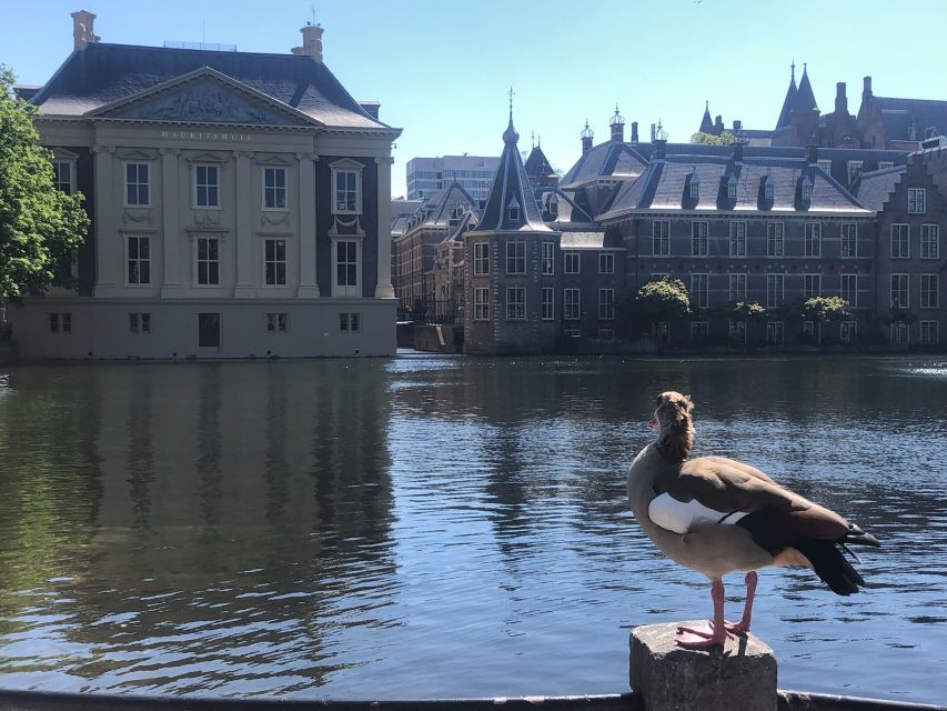 Visit the Girl with the Pearl Earring, The Hague & Delft - Comfort tips: jackets, cobblestones, and what to bring