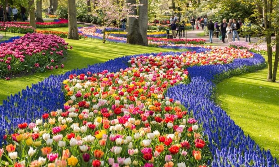 Warmond: Windmill Cruise and Keukenhof Entry Ticket - Keukenhof timed entry: how to make the most of your arrival
