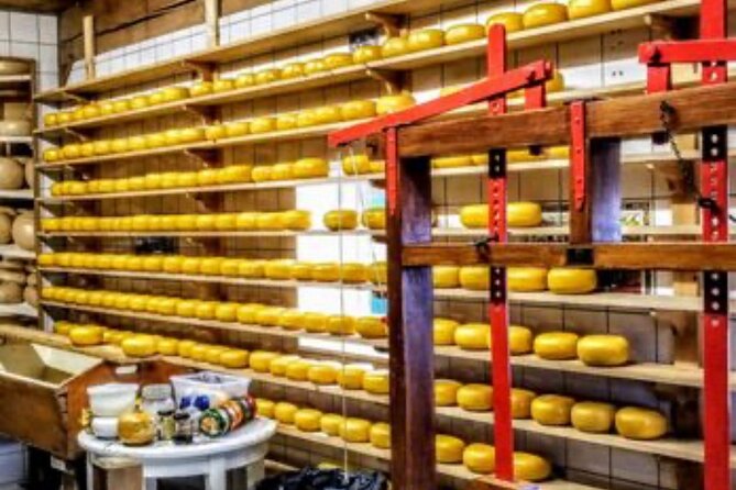 Windmills Country side tour Zaanse Schans-Cheesefactory-Volendam - How the 4 Hours Actually Work on Your Day