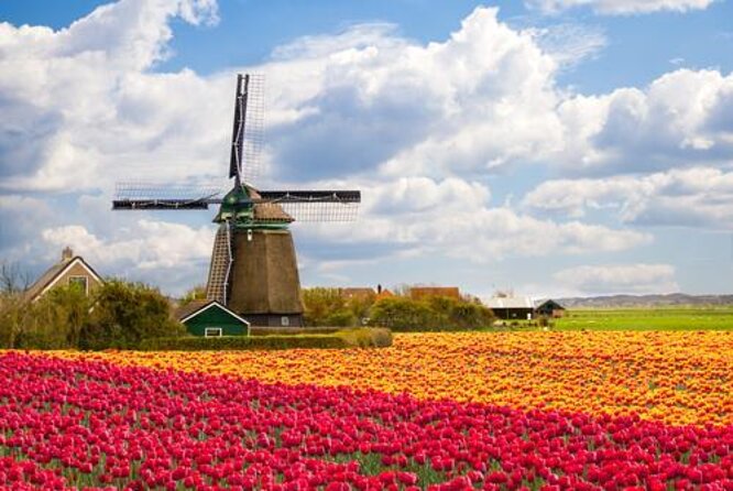 Zaanse Schans and Volendam Private Tour – Clogs, Cheese and More - Getting Out of Amsterdam: Pickup, Comfort, and Wi‑Fi Time